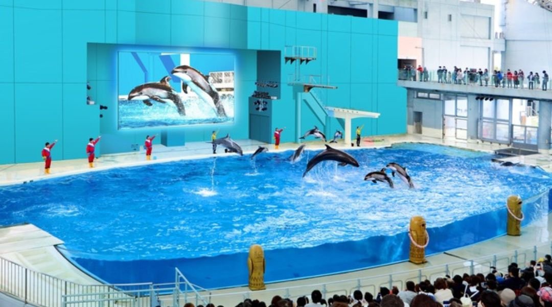 横浜・八景島シーパラダイス | FunNow - On-demand online